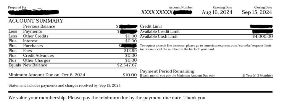 Sample credit card statement showing account summary, previous balance, payments, purchases, fees, and new balance with a minimum payment due on a specified date.